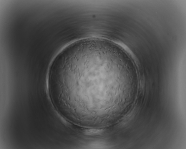 X0000089731294200706281542