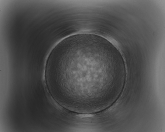 X0000089731296200706281542