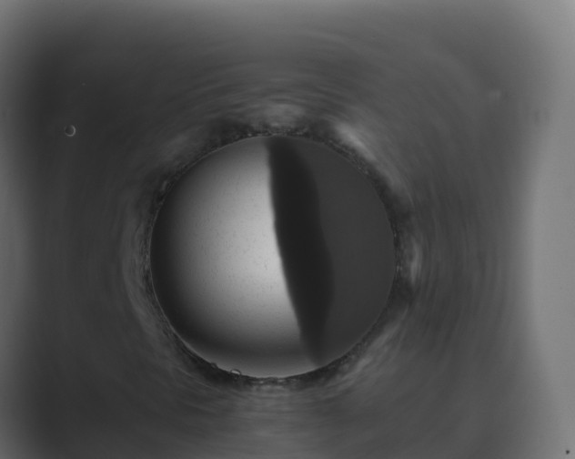 X0000089731297200706281541