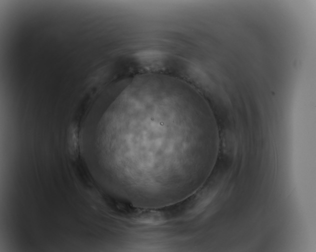 X0000089731298200706281542