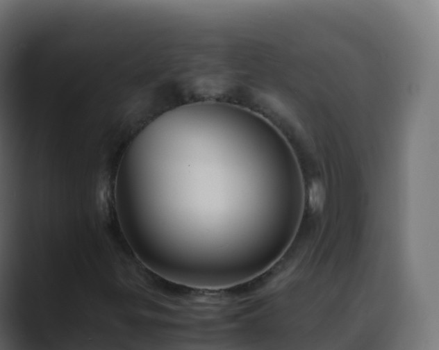 X0000089731299200706281542