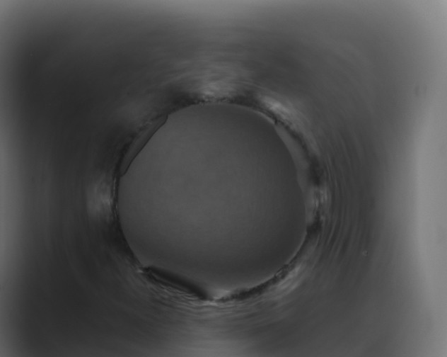 X0000089731300200706281542