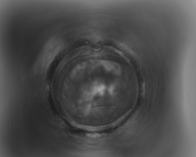 X0000089731302200706281542