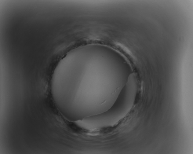 X0000089731303200706281542