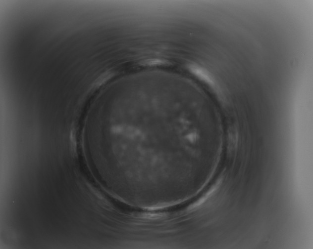 X0000089731305200706281542
