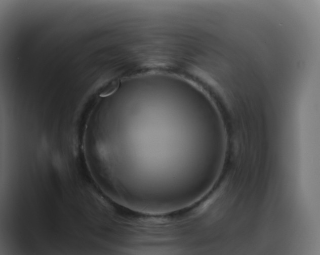 X0000089731306200706281542