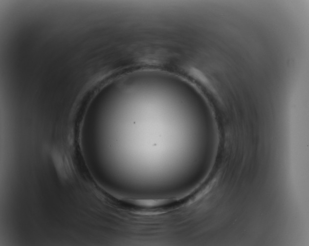 X0000089731307200706281542