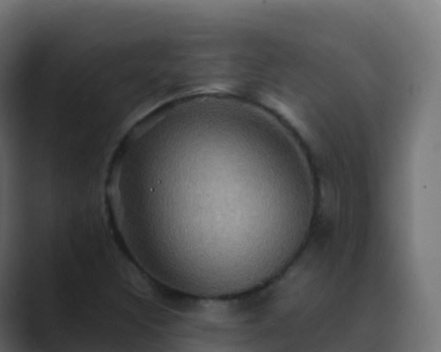 X0000089731308200706281542