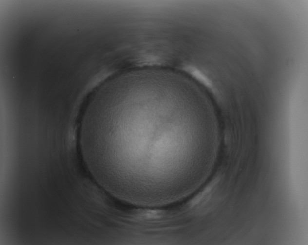X0000089731309200706281542