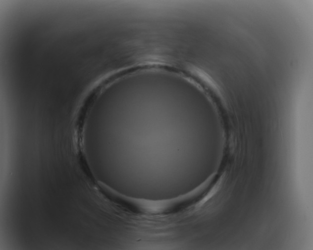 X0000089731310200706281542