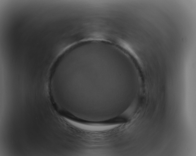X0000089731312200706281542