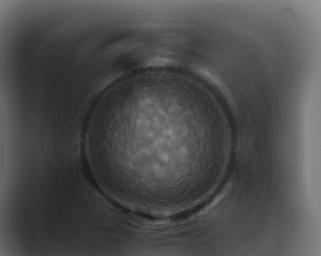 X0000089731313200706281542