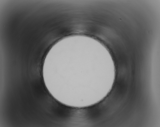 X0000089731314200706281542