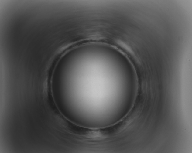X0000089731315200706281542