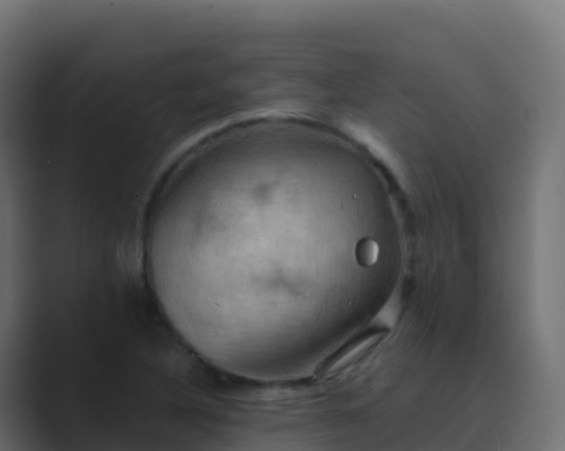 X0000089731316200706281542