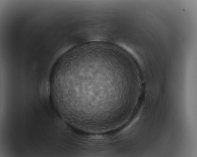 X0000089731317200706281542