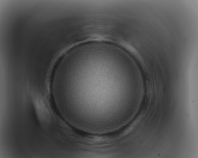 X0000089731318200706281542