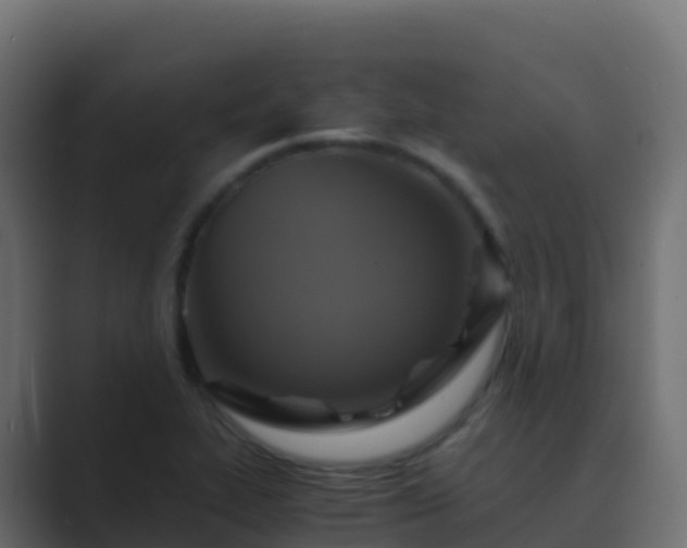 X0000089731319200706281542