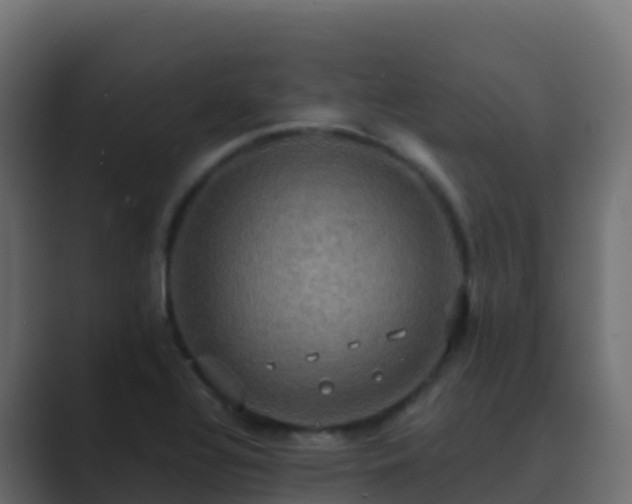 X0000089731320200706281542