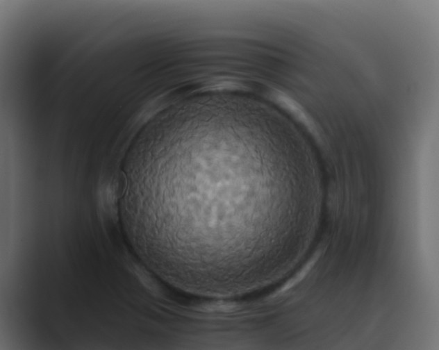 X0000089731321200706281542