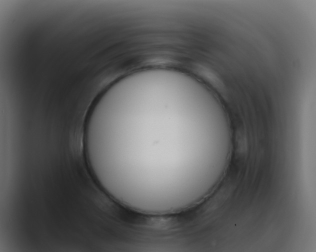 X0000089731322200706281542