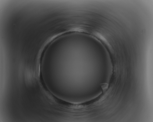 X0000089731323200706281542