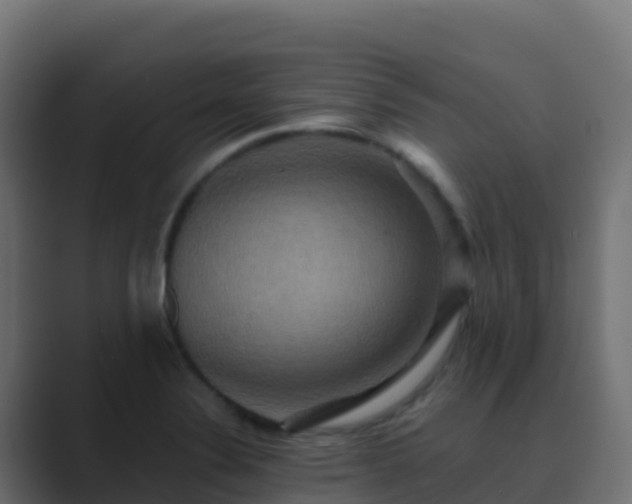 X0000089731324200706281542