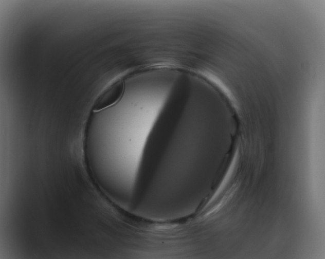 X0000089731325200706281542