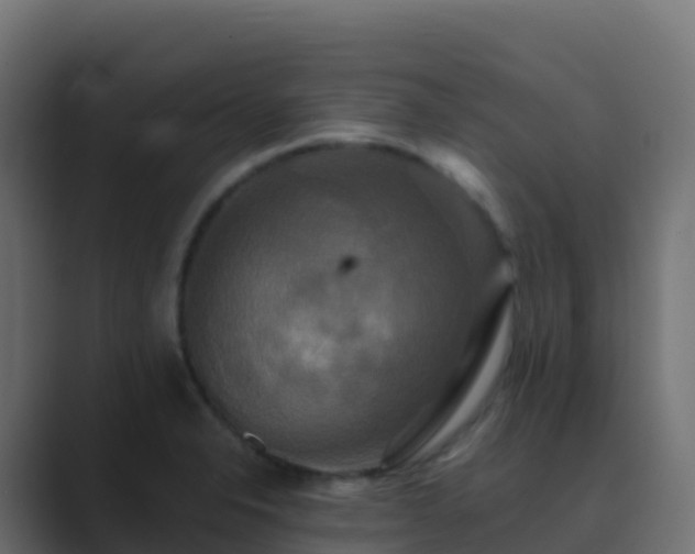 X0000089731326200706281542