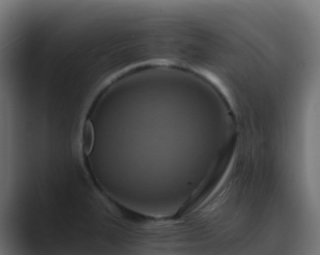 X0000089731327200706281542