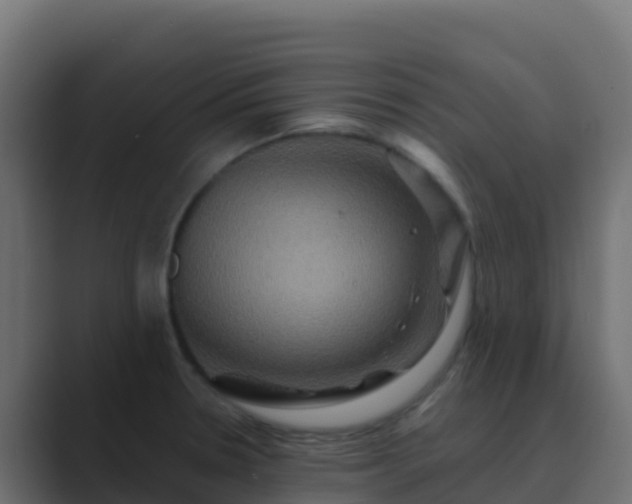 X0000089731330200706281542
