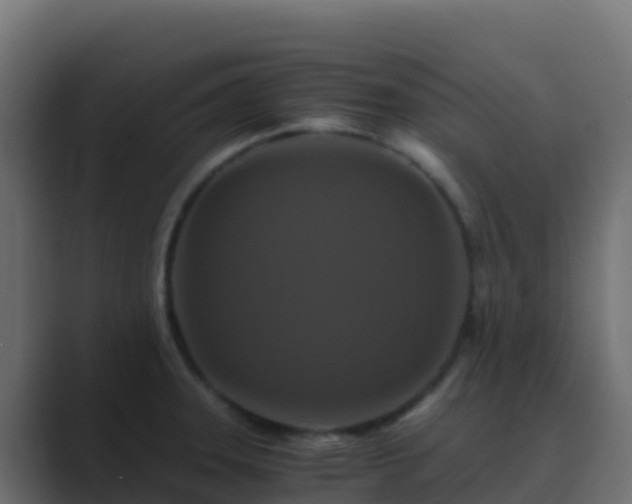 X0000089731331200706281542