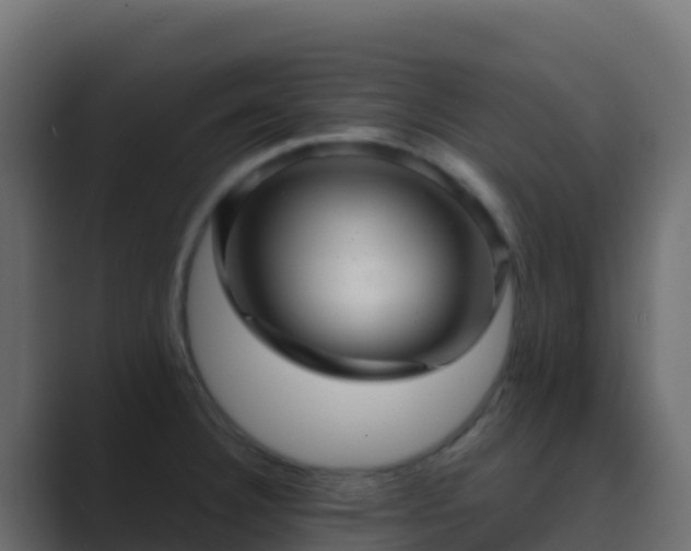 X0000089731332200706281542