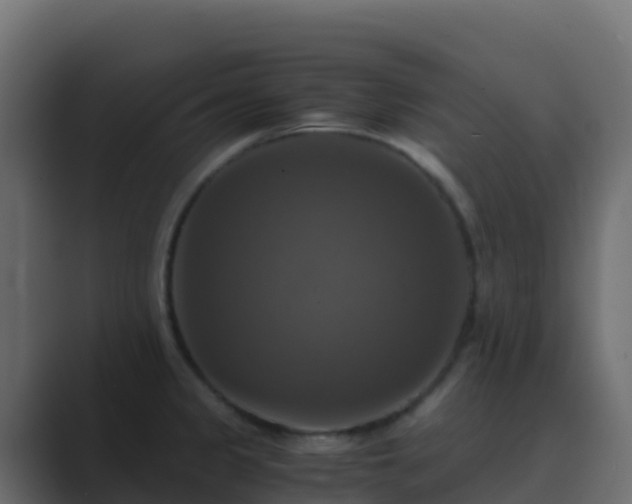 X0000089731333200706281542