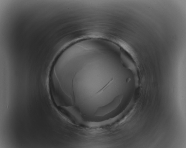 X0000089731334200706281542