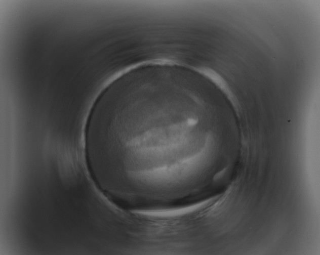 X0000089731335200706281542