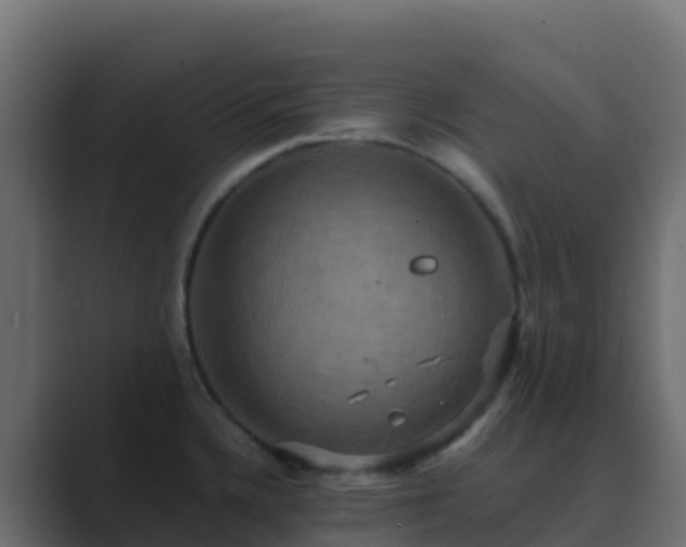 X0000089731336200706281542
