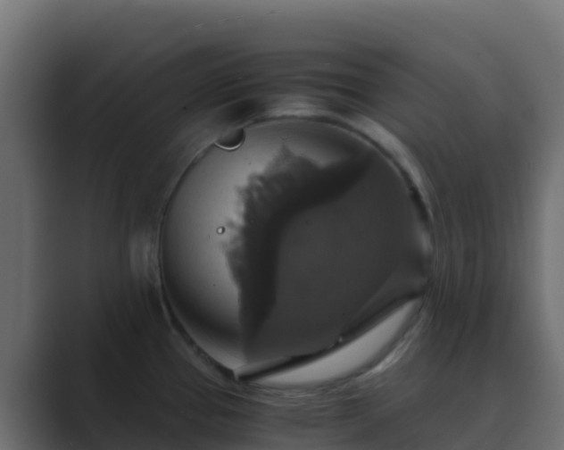 X0000089731337200706281542