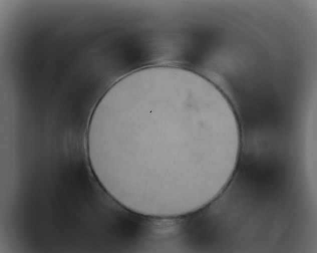 X0000089731338200706281542