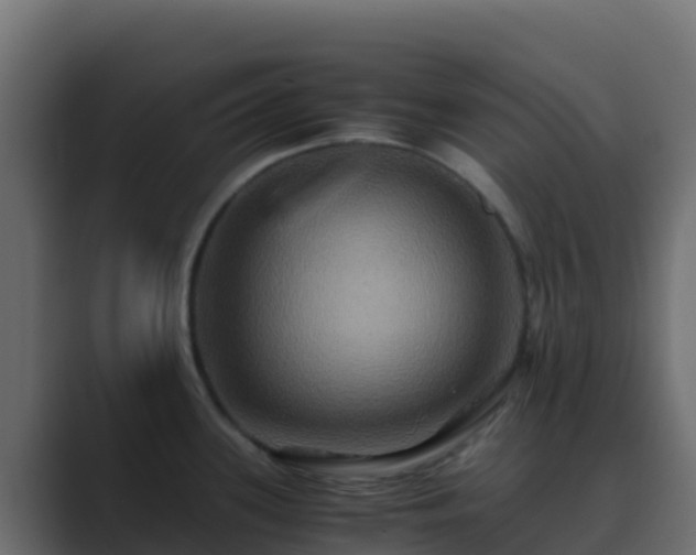 X0000089731339200706281542