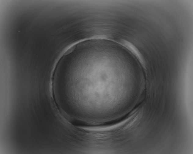 X0000089731340200706281542