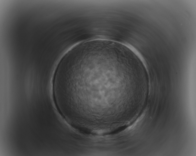 X0000089731341200706281542