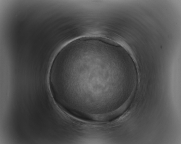 X0000089731344200706281542