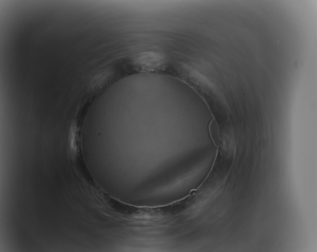X0000089731346200706281541