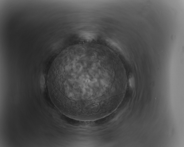 X0000089731347200706281541