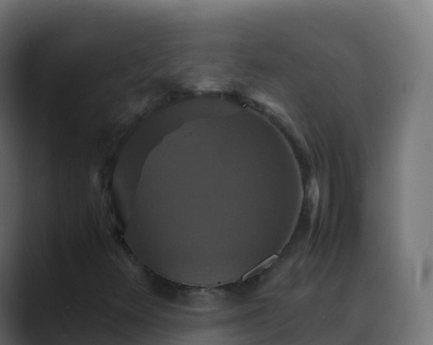 X0000089731348200706281541