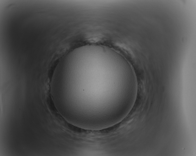 X0000089731349200706281541