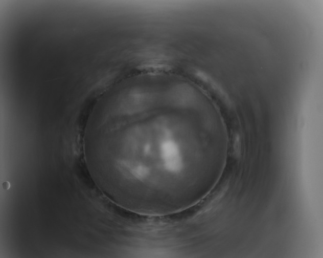 X0000089731350200706281541