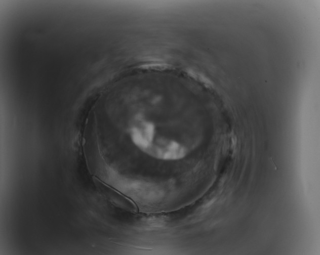 X0000089731351200706281541