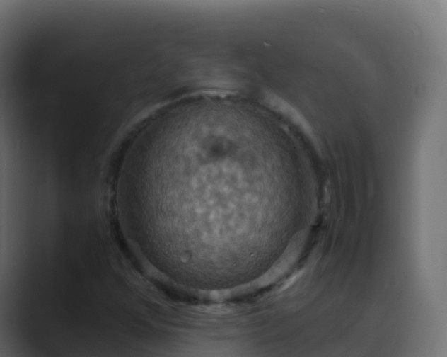 X0000089731352200706281541